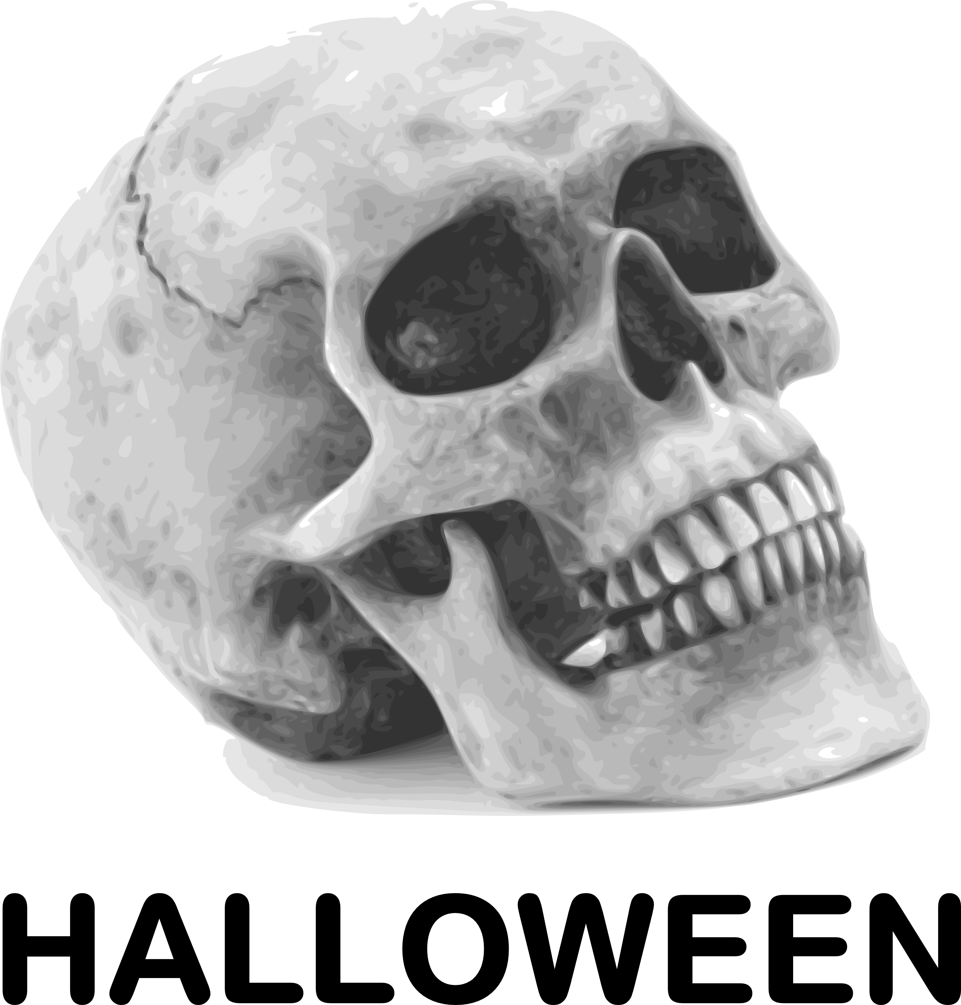free halloween skull clip art - photo #16