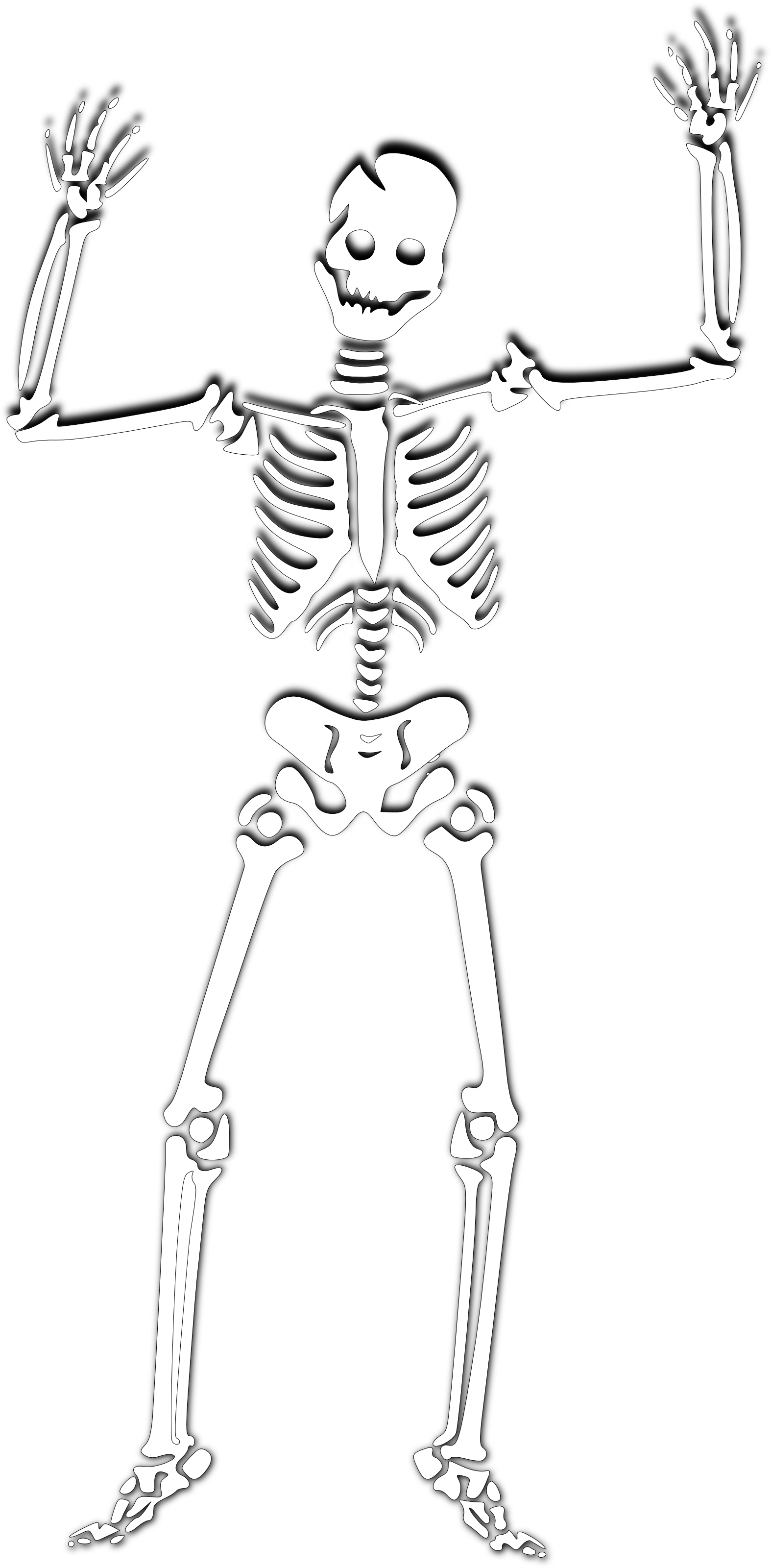clip art human skeleton - photo #33