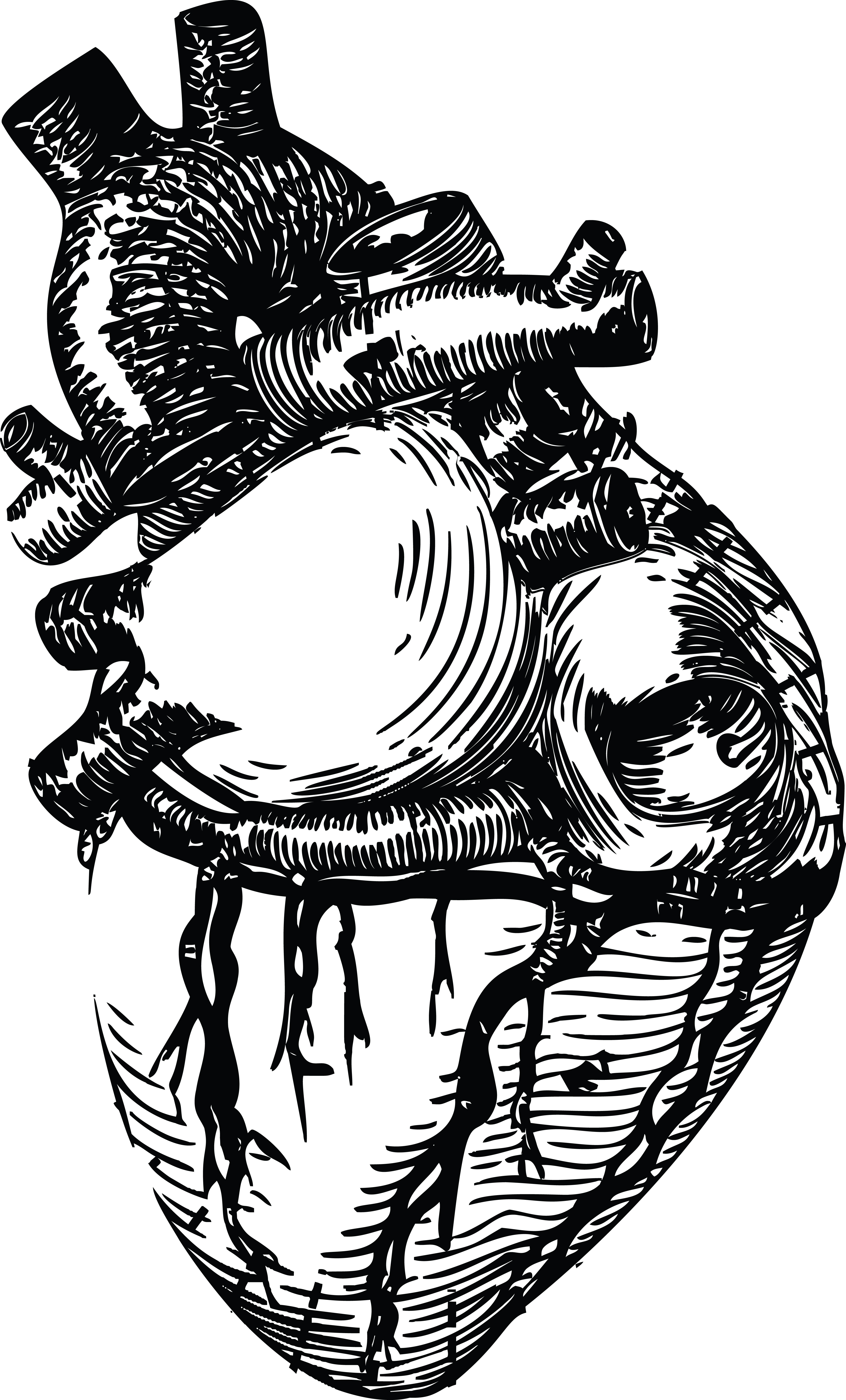 human heart black and white drawing