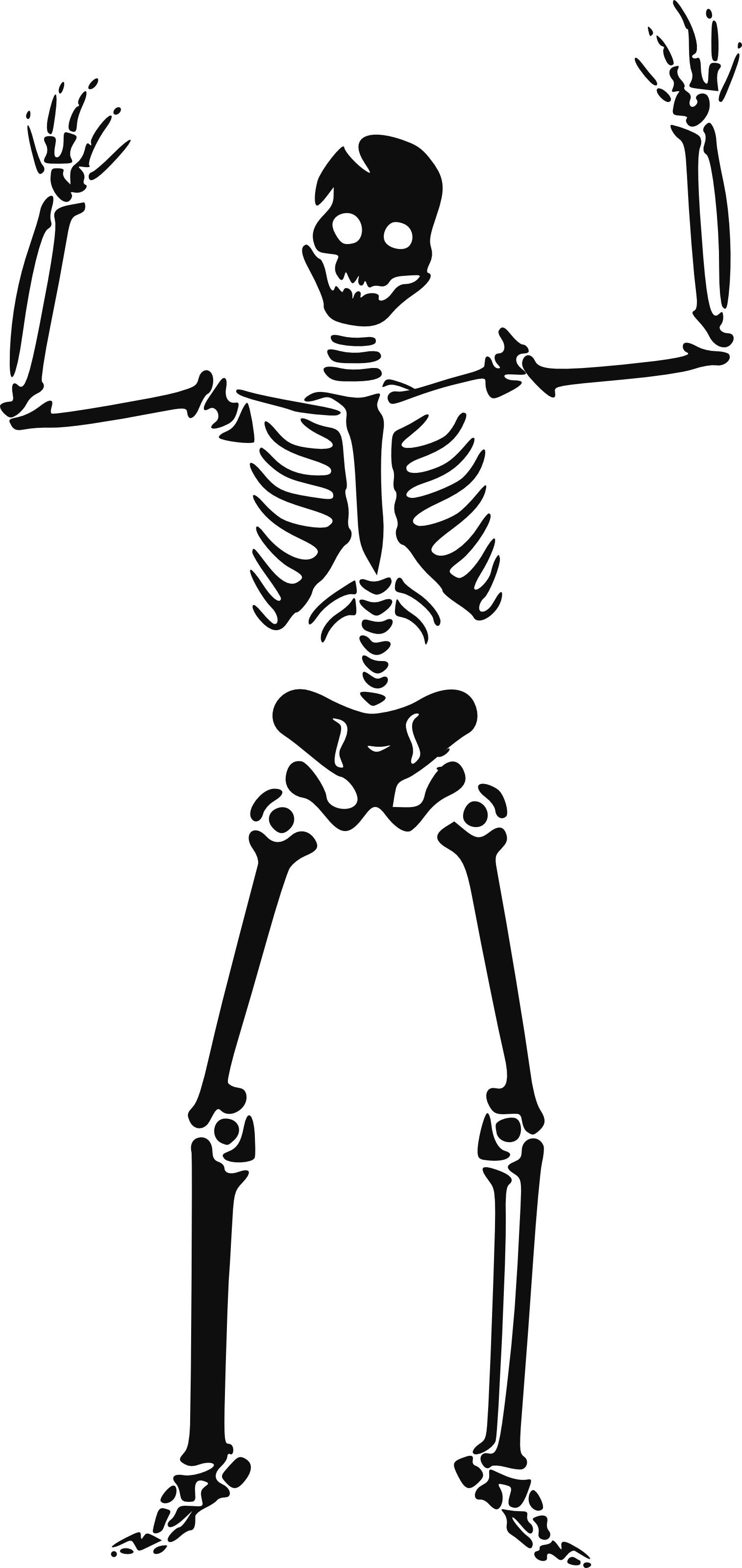 Happy Skeleton - Free Halloween Vector Clipart Illustration