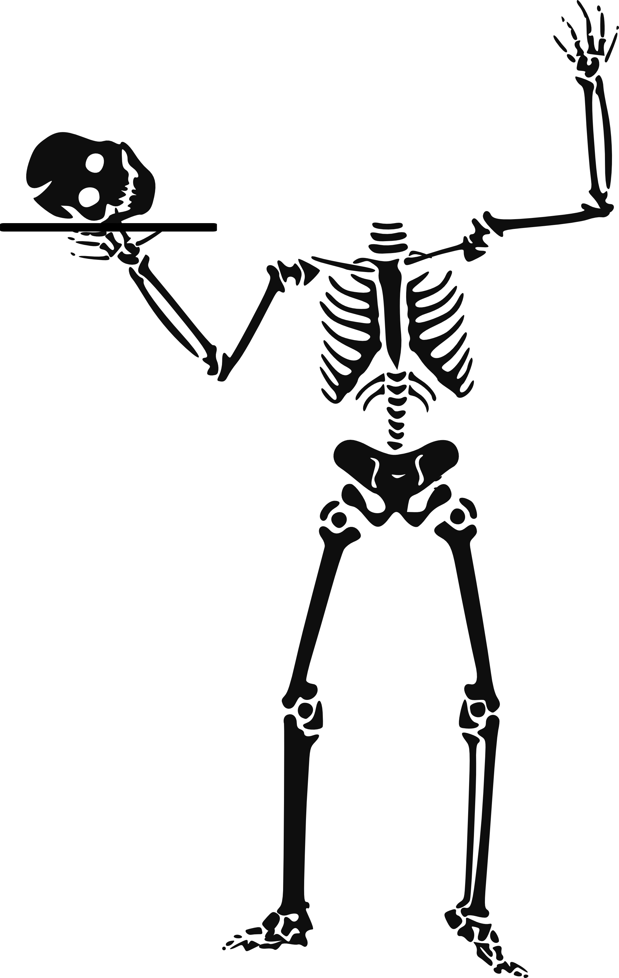 clip art human skeleton - photo #38