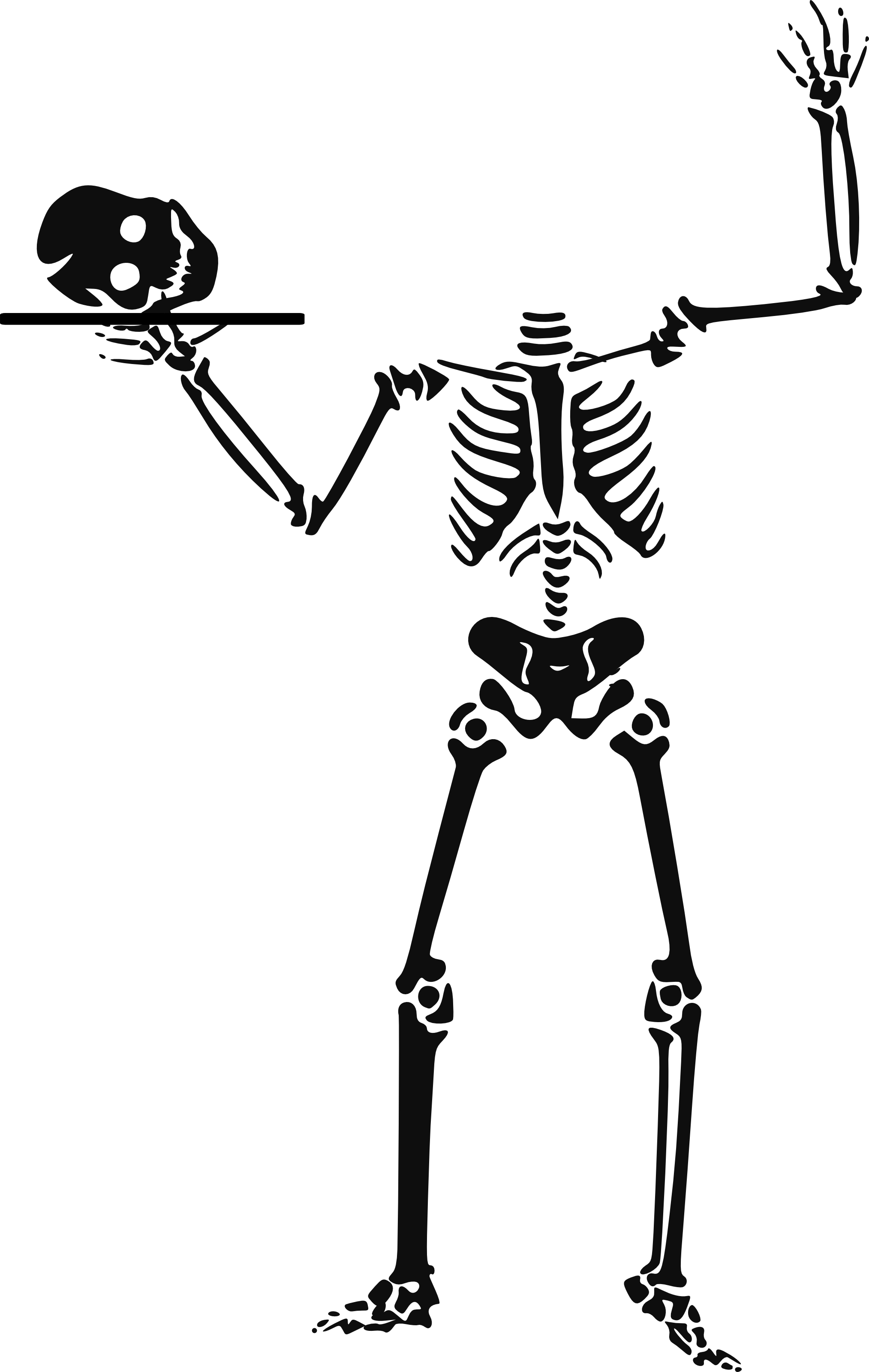 clipart human skeleton outline - photo #24