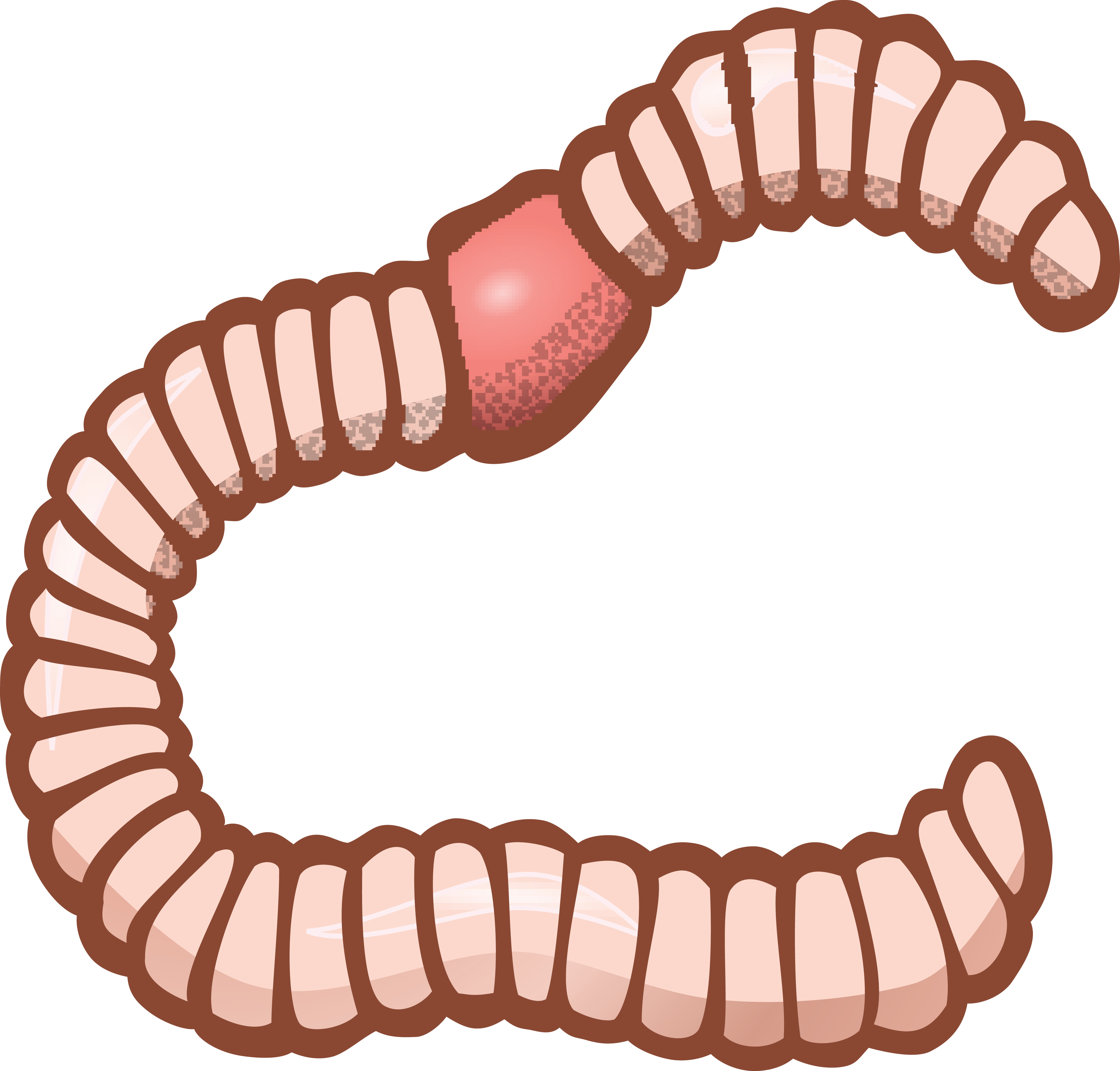 free worm clipart