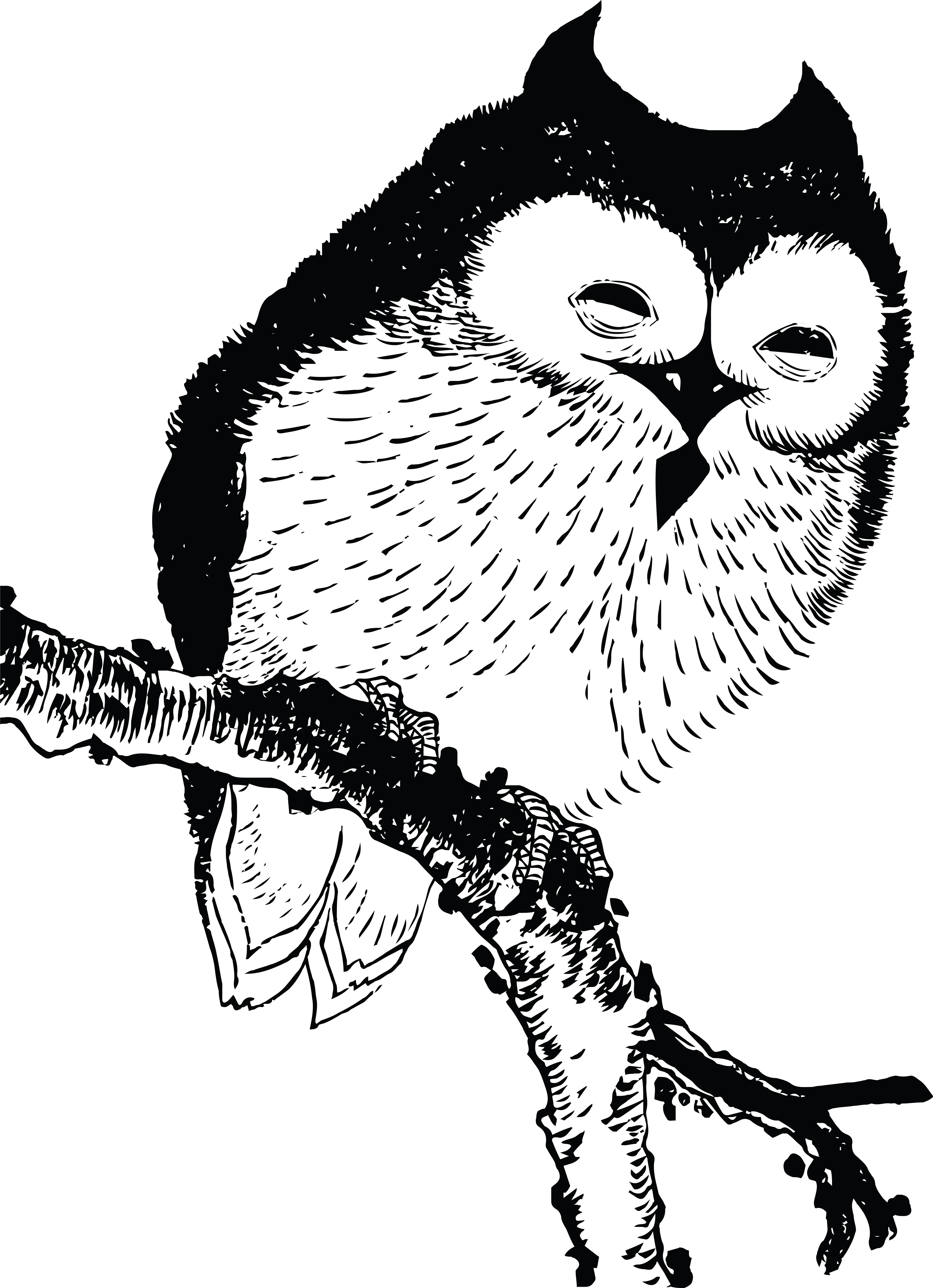 eagle owl clip art - photo #32
