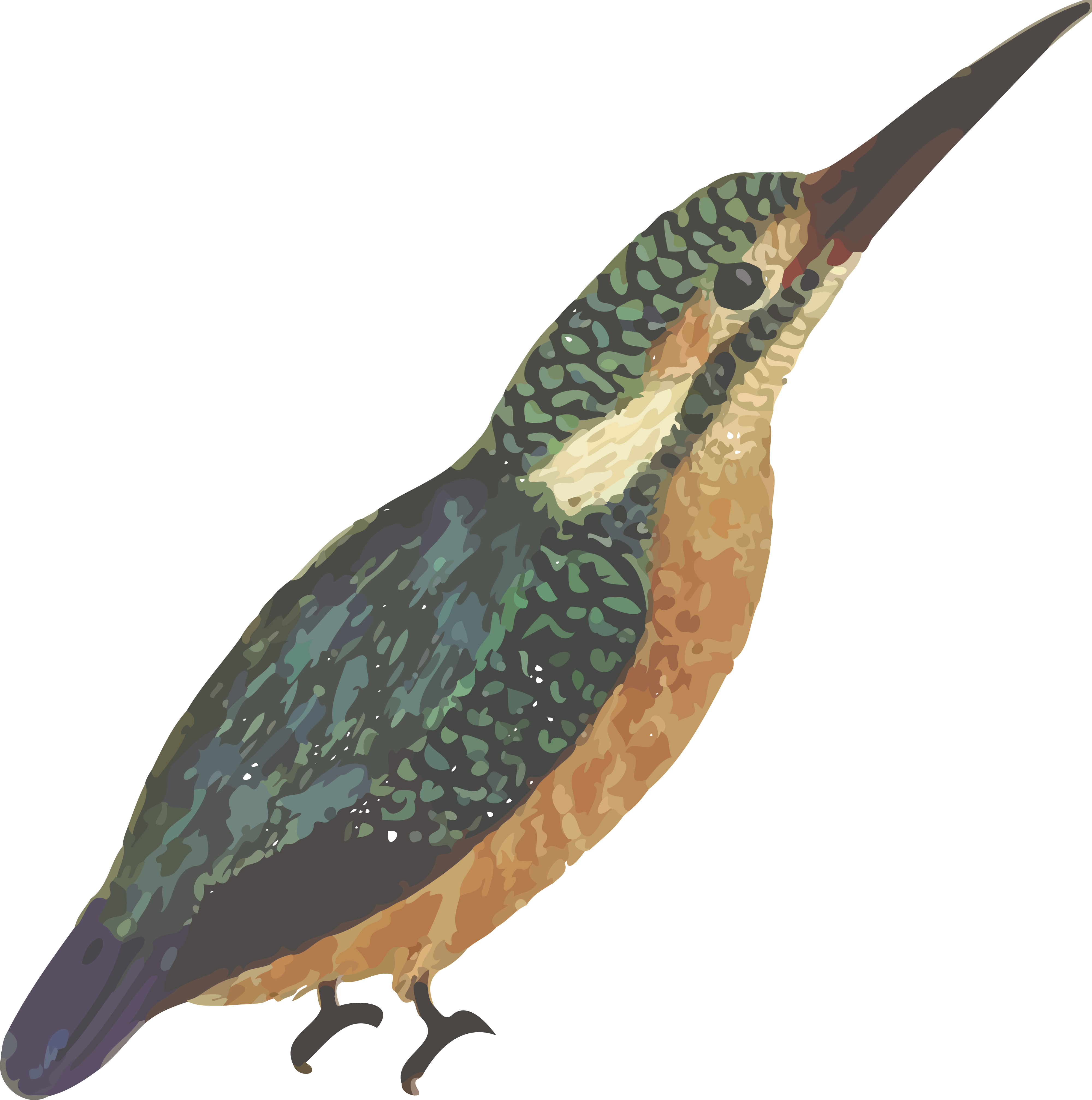 clipart kingfisher bird - photo #19