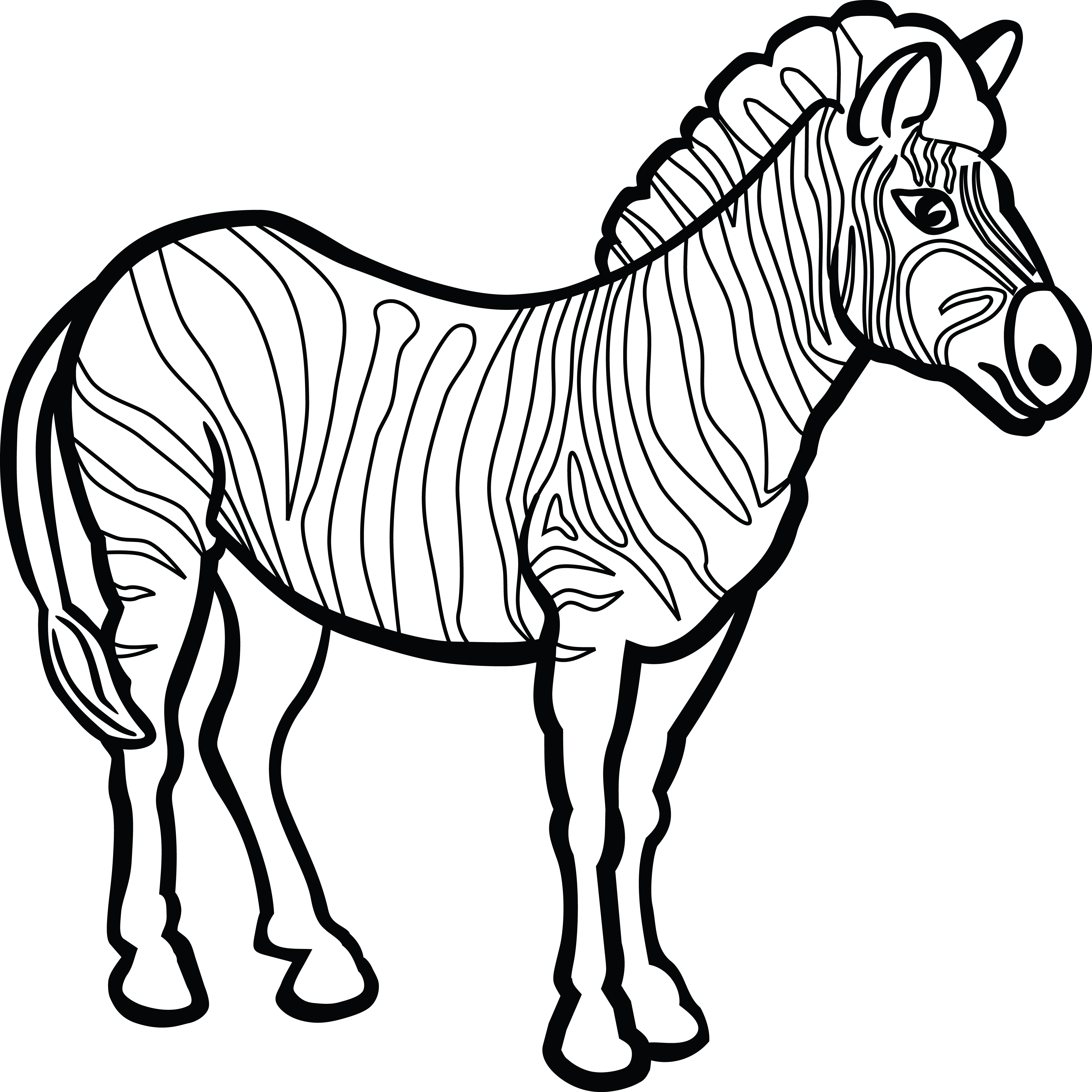 Раскраска лошадь Зебра