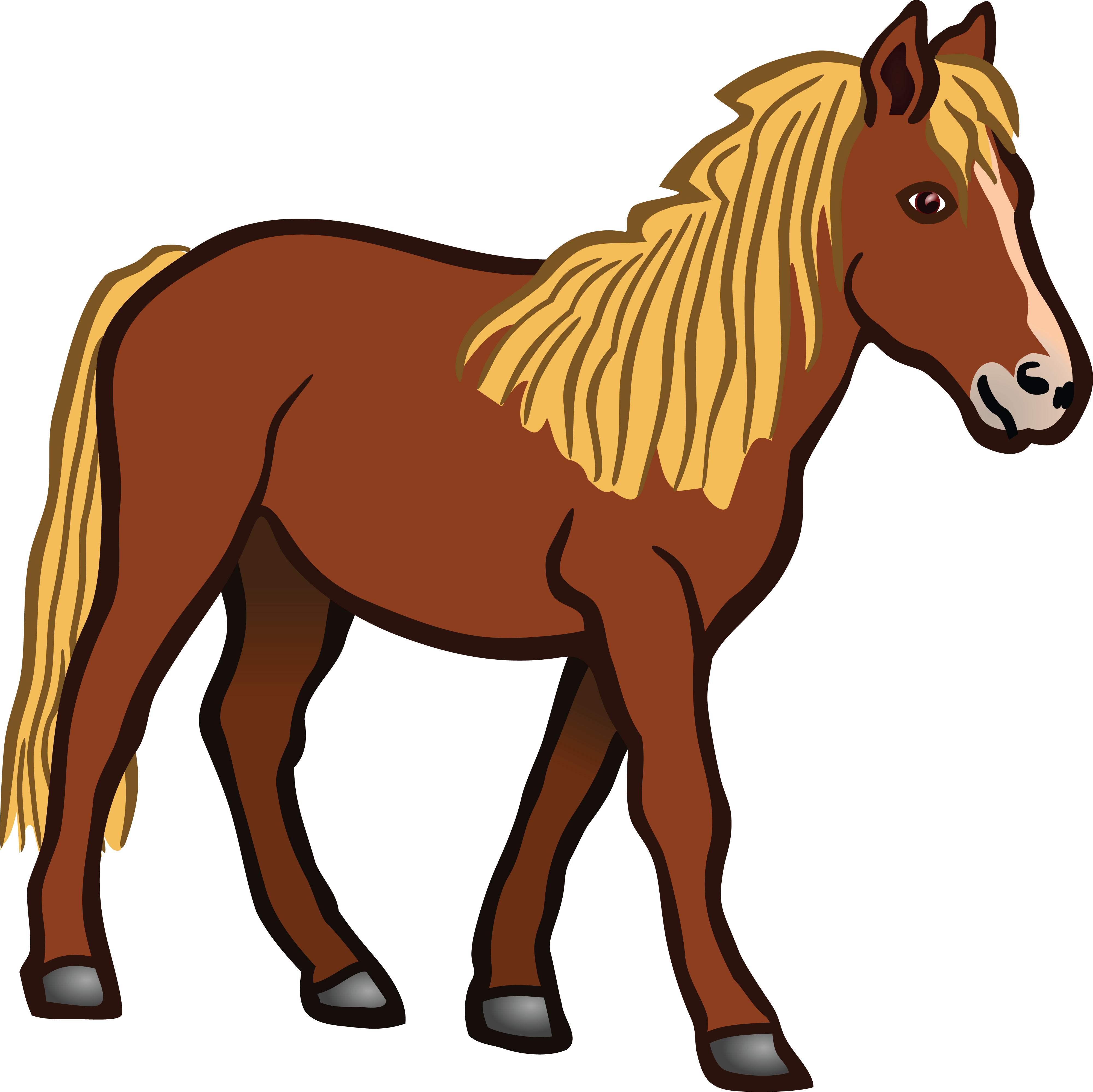 Horse Illustration In Children'S Book