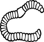 Free Clipart Of A Worm