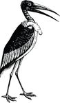 Free Clipart Of A Stork