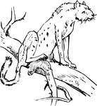 Free Clipart Of A Cheetah On A Branch