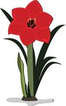 Free Clipart Of An Amaryllis Flower