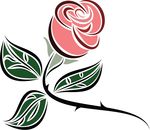 Free Clipart Of A Pink Rose