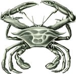 Free Clipart Of A Crab