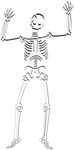 Skeleton Free Halloween Clipart Illustration