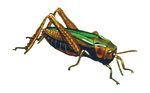 Free Clipart Of A Grasshopper