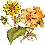 Free Clipart Of A Flowering Plant
