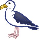 Free Clipart Of A Seagull Bird