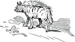 Free Clipart Of A Hyena