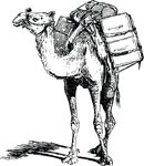 Free Clipart Of A Camel