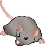 Free Clipart Of A Mouse