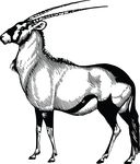 Free Clipart Of A Gazelle