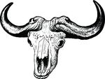 Free Clipart Of An Ox Skull
