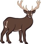 Free Clipart Of A Buck Deer