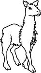 Free Clipart Of A Llama