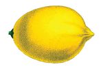 Free Clipart Of A Lemon