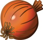 Free Clipart Of An Onion