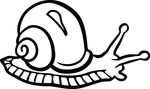 Free Clipart Of A Snail