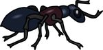 Free Clipart Of An Ant