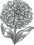 Free Clipart Of A Flower