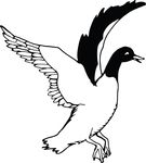 Free Clipart Of A Flying Duck