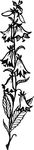 Free Clipart Of A Floral Stalk