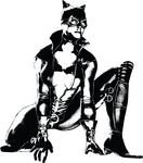 Free Clipart Of Cat Woman