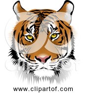 Free Clipart Of Tiger Face