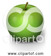 Free Clipart Of A Green Apple