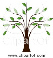 Free Clipart Of Whispy Tree