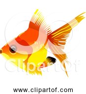Free Clipart Of Goldfish