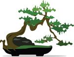 Free Clipart Of A Bonsai Tree