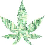 Free Clipart Of A Word Tag Collage Cannabis Marijuana Pot Leaf
