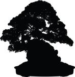 Free Clipart Of A Silhouetted Bonsai Plant