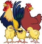 Free Clipart Of A Chicken Family