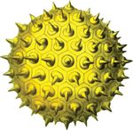 Free Clipart Of A Pollen Spore
