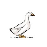 Free Clipart Of A White Goose