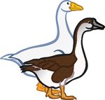 Free Clipart Of A Pair Of Geese