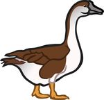 Free Clipart Of A Goose