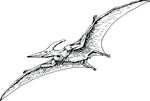 Free Clipart Of A Flying Pterodactyl