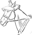 Free Clipart Of A Horse Wearing A Hat